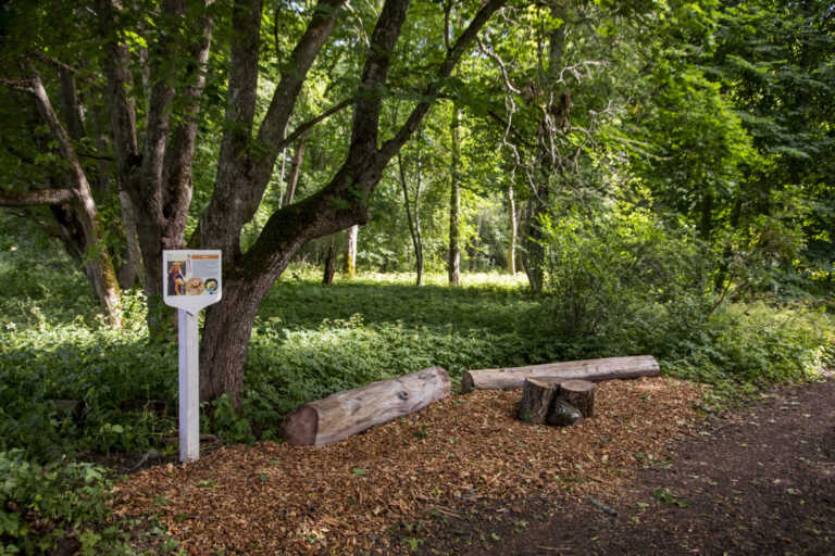 Renewed educational trail “The Path of Senses and Experiences” in Anija Manor Park
