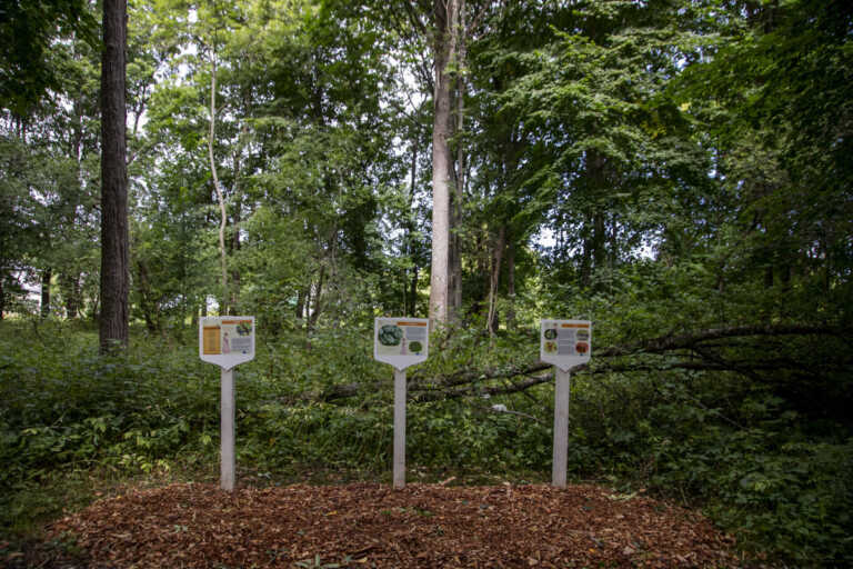 Renewed educational trail “The Path of Senses and Experiences” in Anija Manor Park